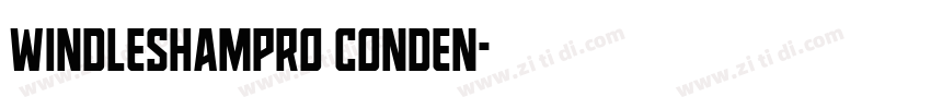 windleshampro conden字体转换